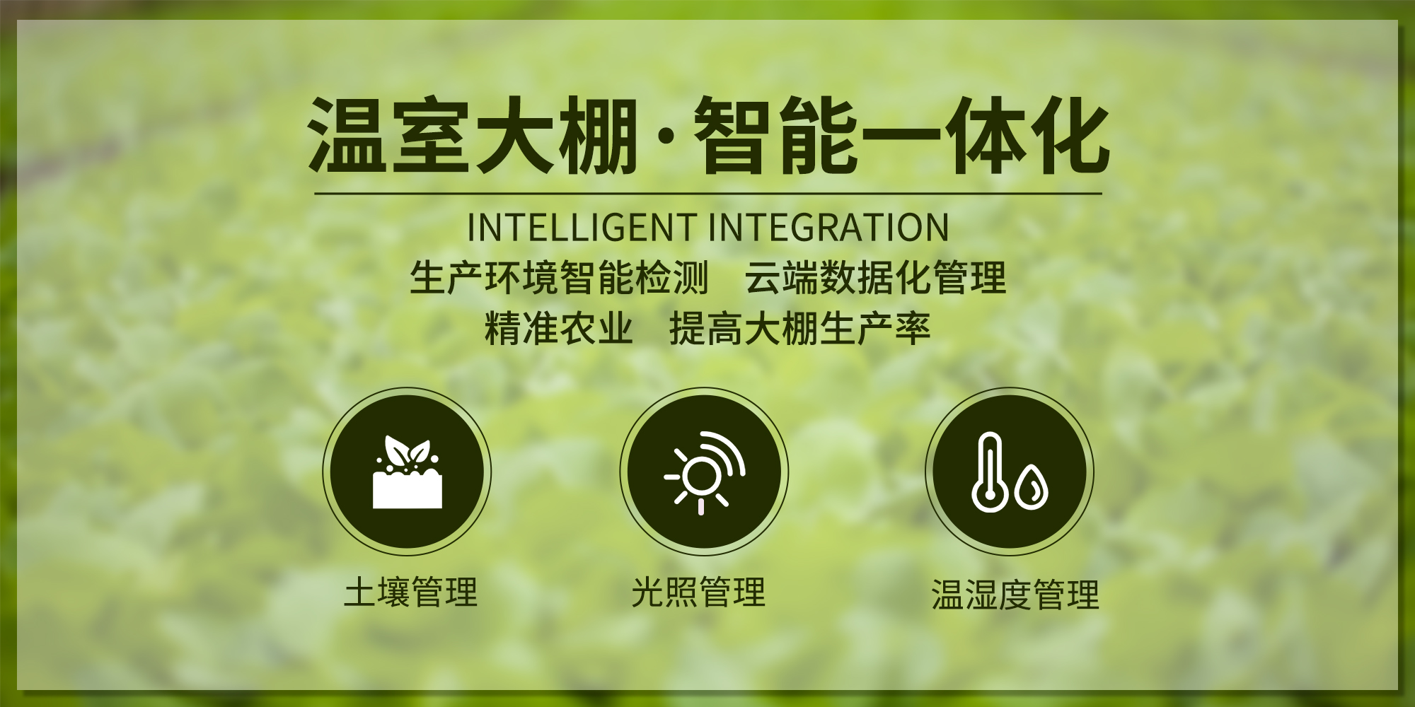 智慧農業(yè)系統(tǒng)